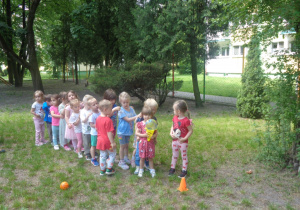 Zdjęcie 14 na 30