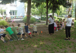 Zdjęcie 27 na 30