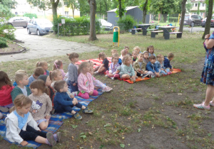 Zdjęcie 19 na 51