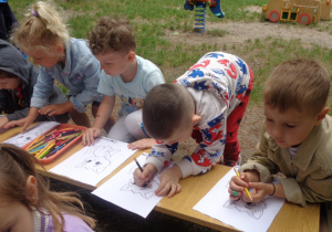 Zdjęcie 24 na 51