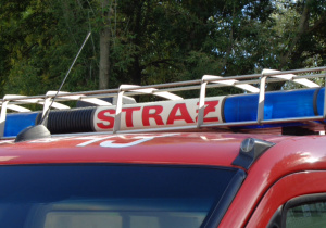 Zdjęcie 1 na 10