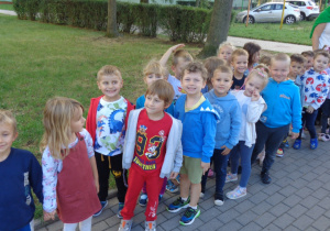 Zdjęcie 2 na 10
