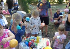 Zdjęcie 22 na 47