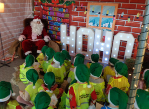 "Kotki" w Krainie Elfów